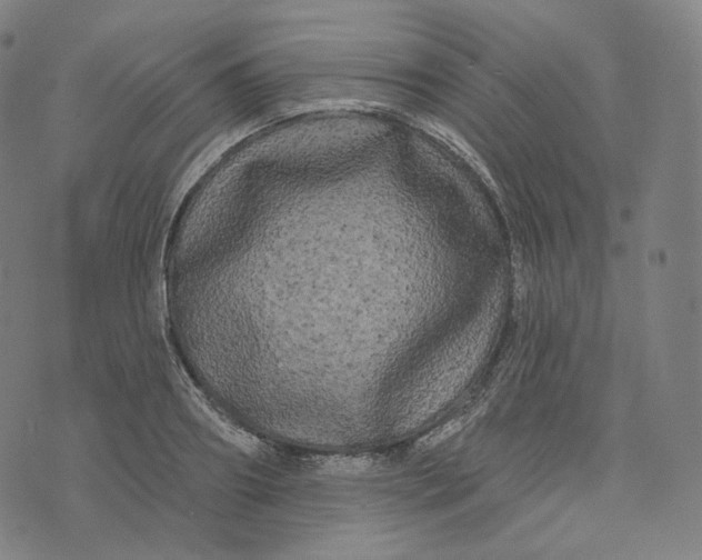 X0000076320890200610161641