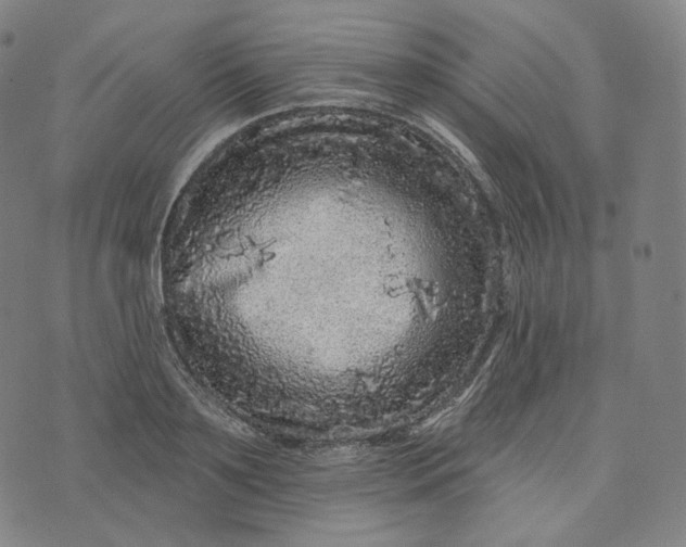 X0000076320891200610161641