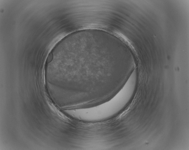 X0000076320892200610161641