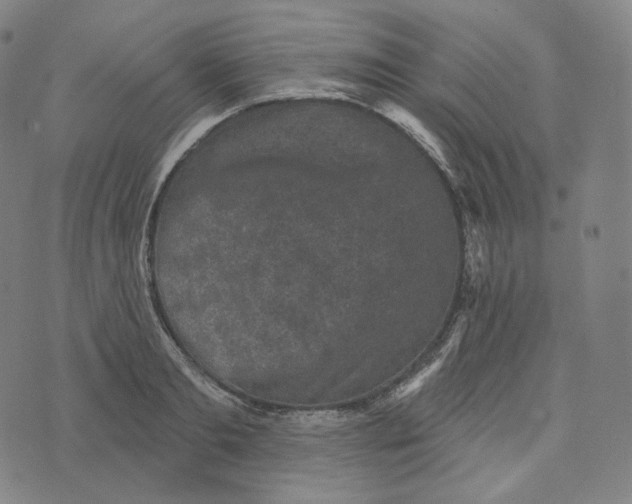 X0000076320893200610161641