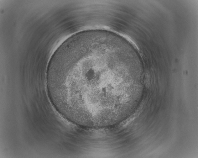 X0000076320895200610161641