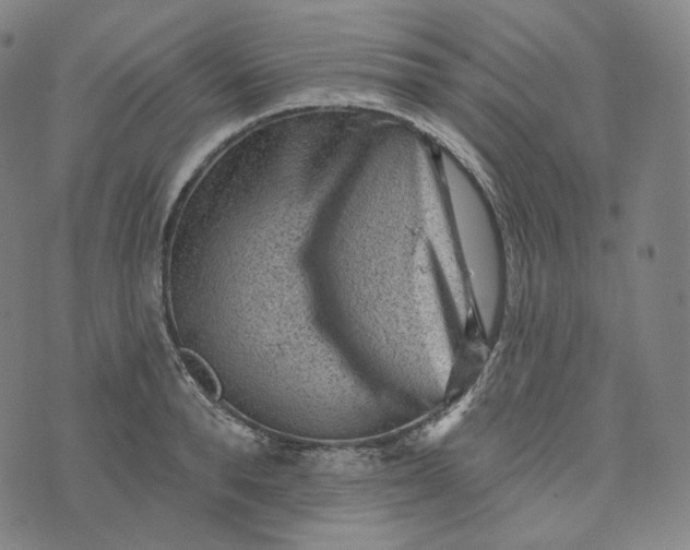 X0000076320896200610161641