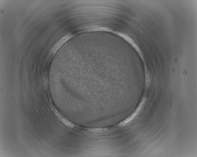 X0000076320897200610161641