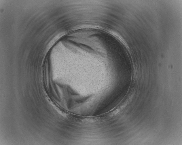 X0000076320898200610161641