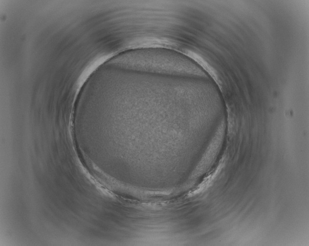 X0000076320901200610161641