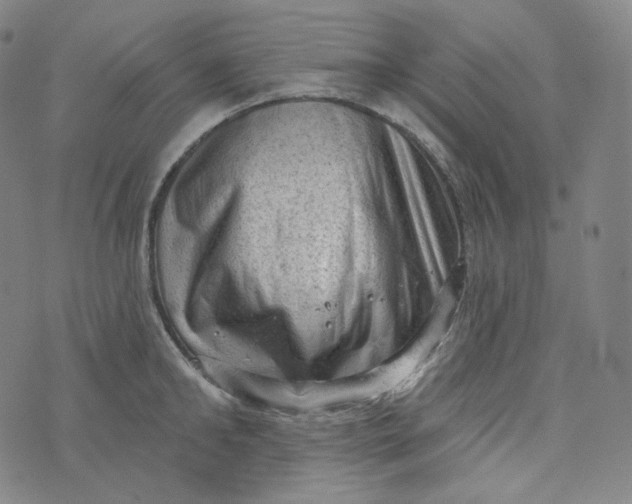 X0000076320902200610161641