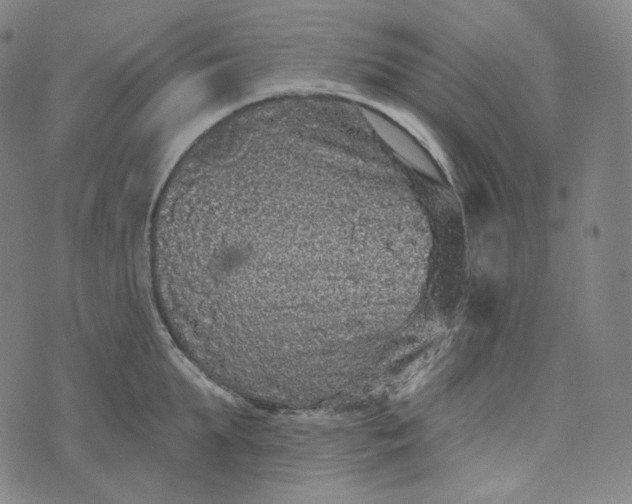 X0000076320903200610161641