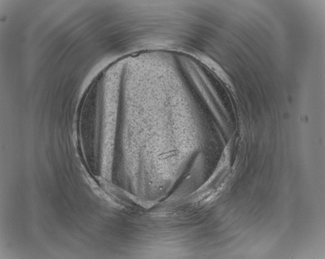 X0000076320904200610161641