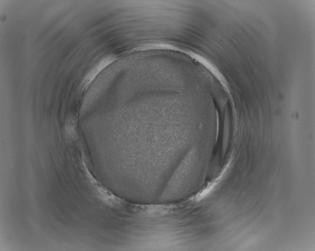 X0000076320905200610161641