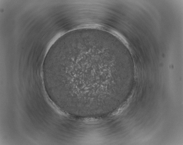 X0000076320907200610161640