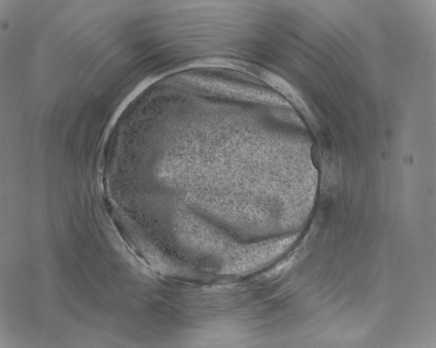 X0000076320908200610161640