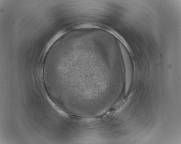 X0000076320909200610161640