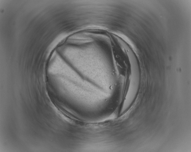 X0000076320910200610161640