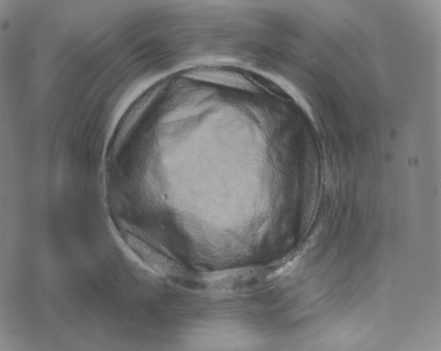 X0000076320911200610161640