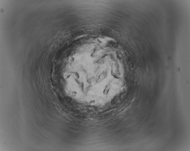 X0000076320913200610161640