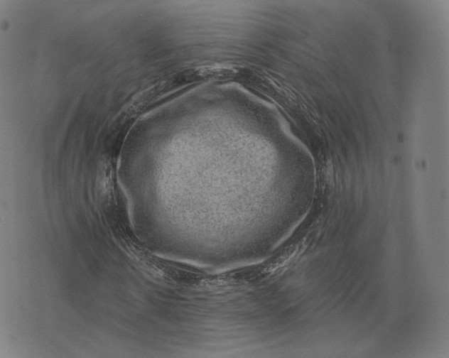 X0000076320914200610161640