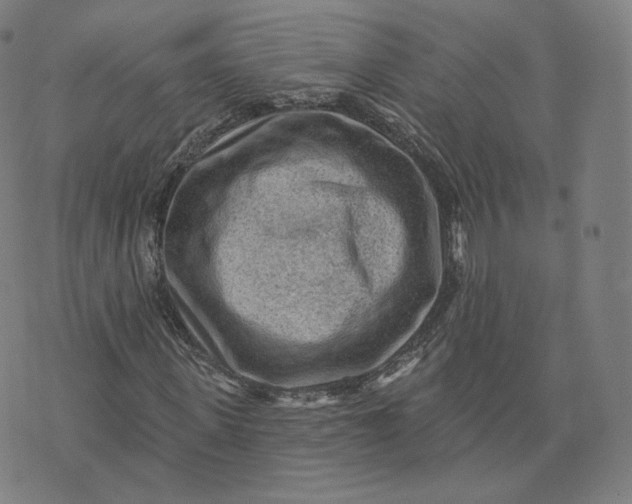 X0000076320915200610161640