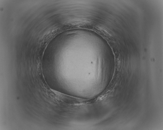 X0000076320917200610161640