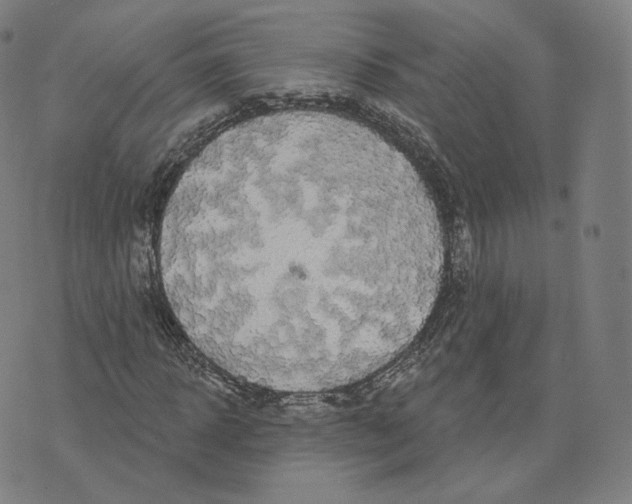 X0000076320918200610161640