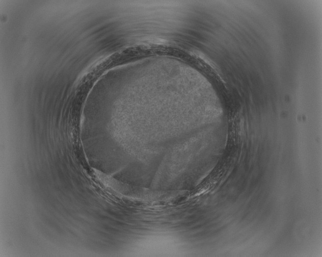 X0000076320919200610161640