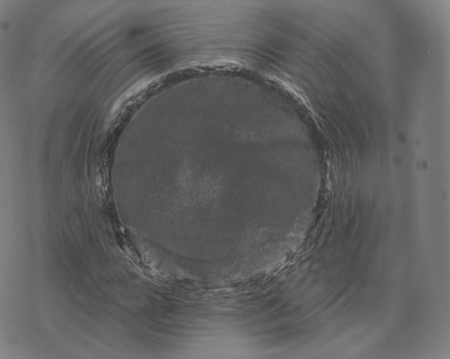 X0000076320920200610161640