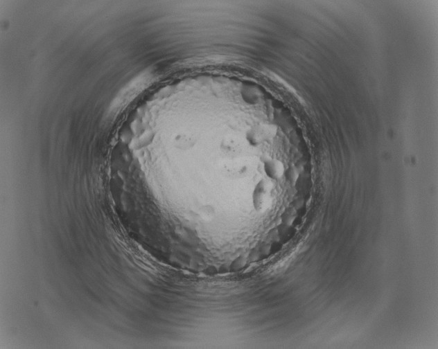 X0000076320921200610161640