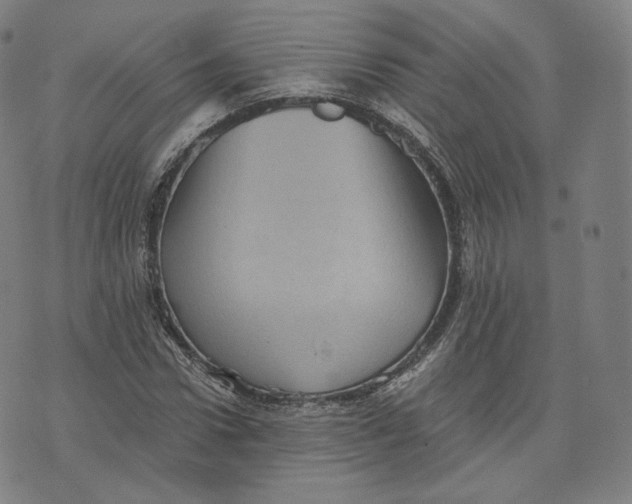 X0000076320922200610161640