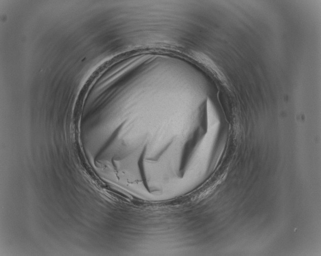 X0000076320924200610161640