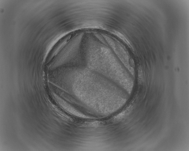 X0000076320926200610161640