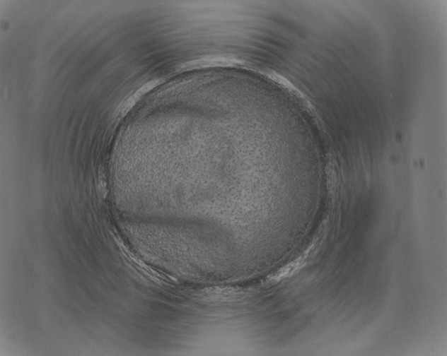 X0000076320929200610161640