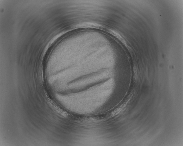 X0000076320931200610161640