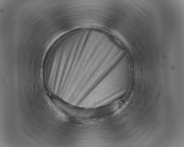 X0000076320932200610161640