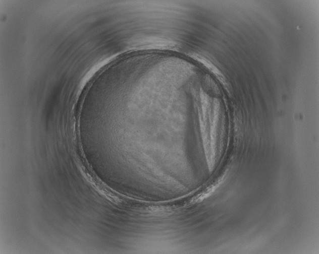 X0000076320933200610161640