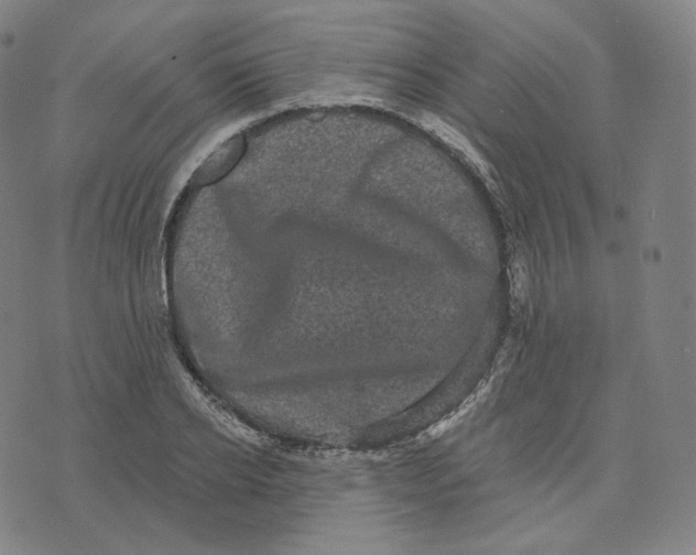 X0000076320934200610161640