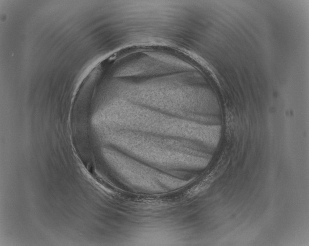 X0000076320935200610161640