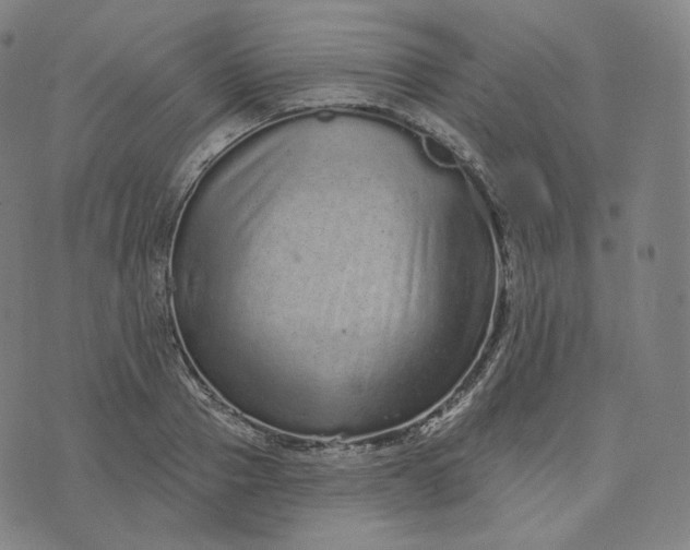 X0000076320937200610161640