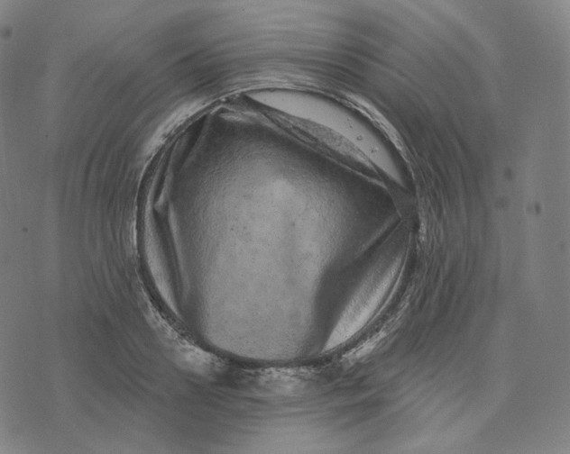 X0000076320938200610161640