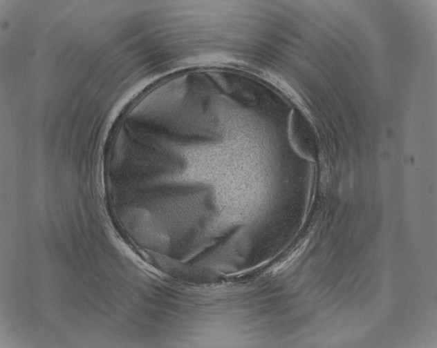 X0000076320939200610161640