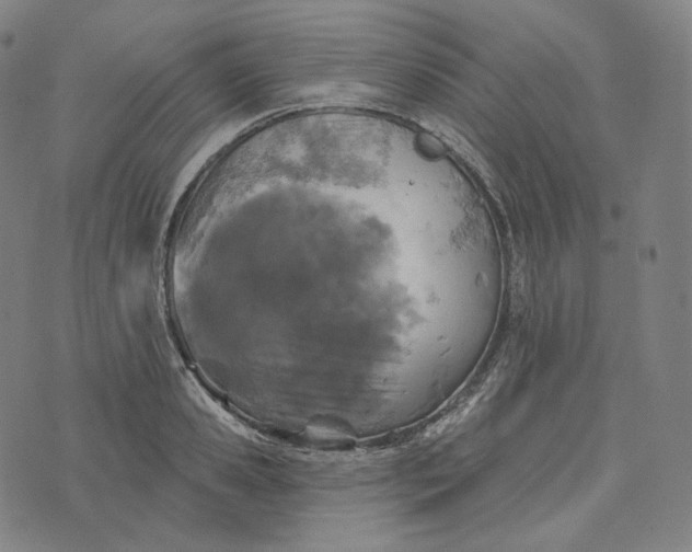 X0000076320941200610161640