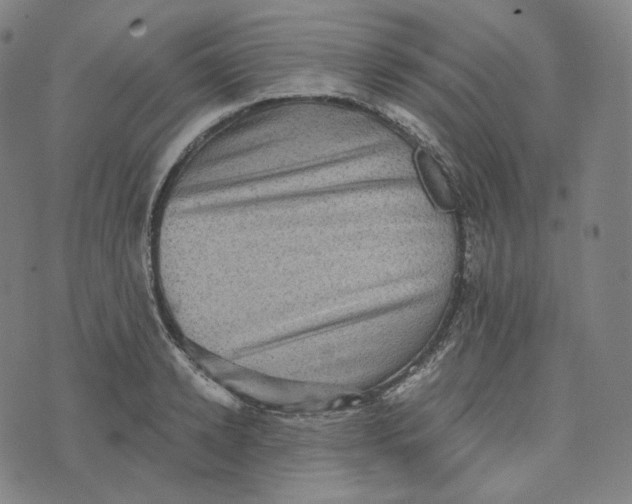 X0000076320942200610161640