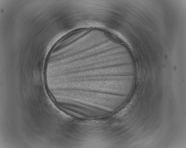 X0000076320943200610161640