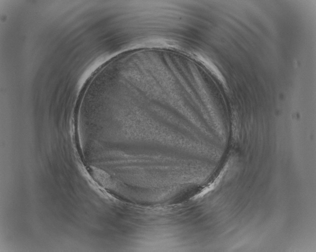 X0000076320944200610161640