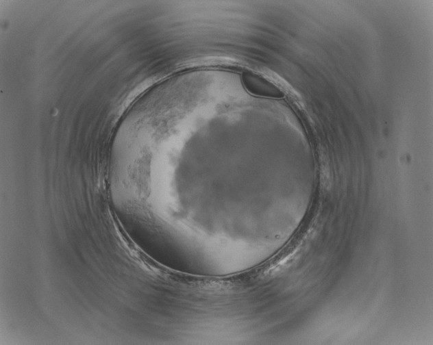 X0000076320945200610161640