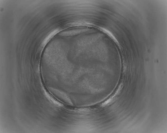 X0000076320946200610161640