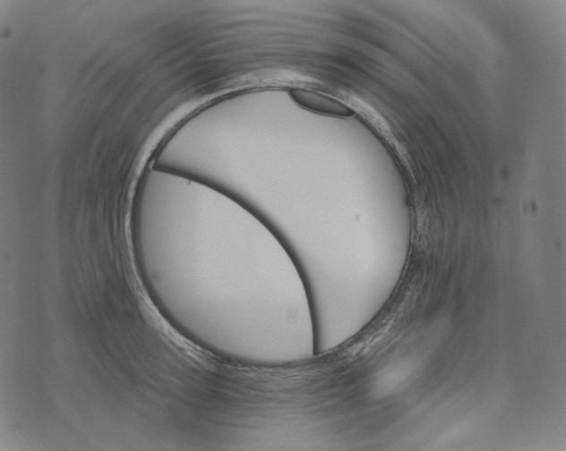 X0000076320947200610161640