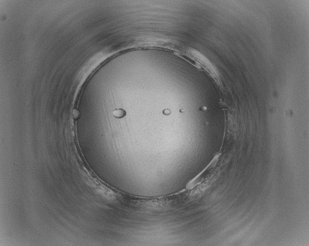 X0000076320948200610161640