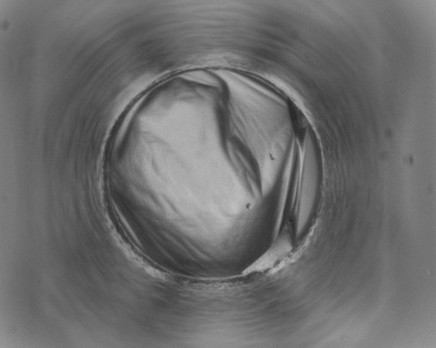 X0000076320949200610161640