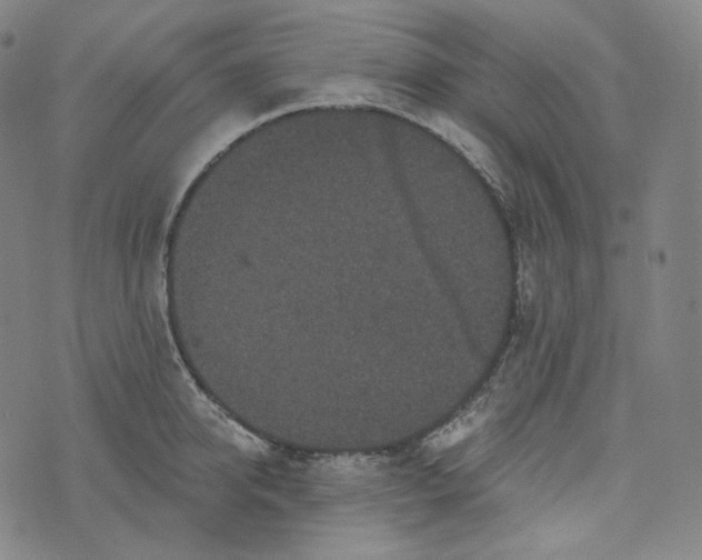 X0000076320950200610161640