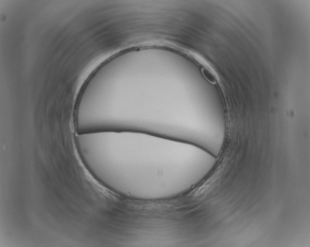 X0000076320951200610161640