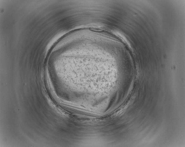 X0000076320952200610161640